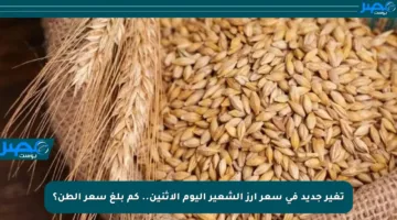 تغير جديد في سعر أرز الشعير اليوم الإثنين.. كم بلغ سعر الطن؟
